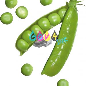 vegetal 4