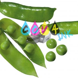 vegetal 7
