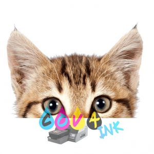 cat_PNG50485
