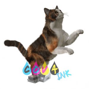 cat_PNG50486