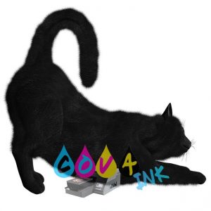 cat_PNG50489