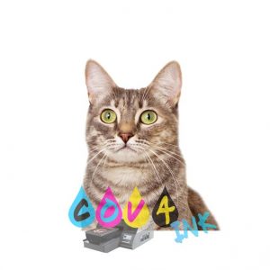 cat_PNG50495