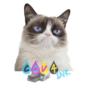 cat_PNG50498
