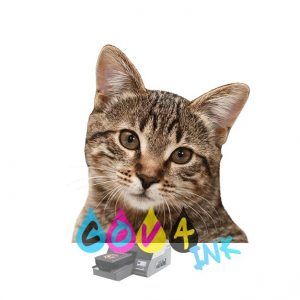 cat_PNG50509
