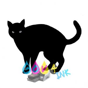 cat_PNG50510