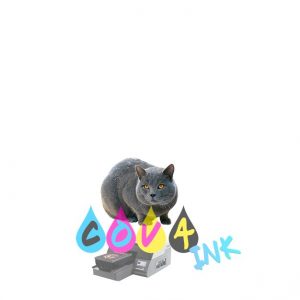 cat_PNG50511