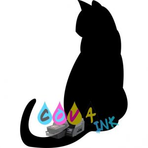 cat_PNG50522