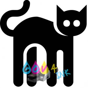 cat_PNG50524