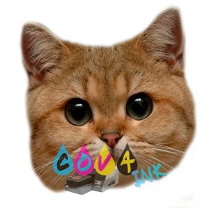 cat_PNG50525