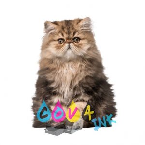 cat_PNG50530