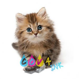 cat_PNG50534