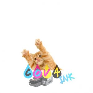 cat_PNG50538