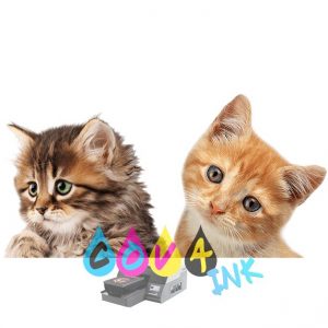 cat_PNG50539