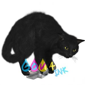 cat_PNG50541
