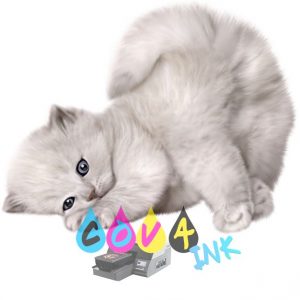 cat_PNG50542