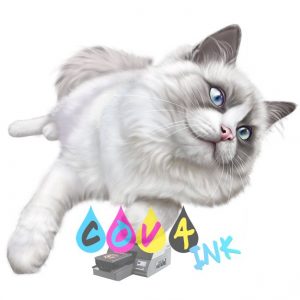 cat_PNG50549