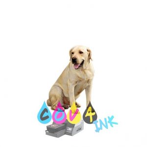 dog_PNG2425