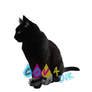 cat_PNG98