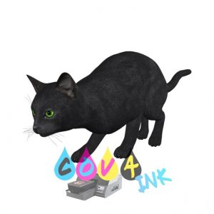 cat_PNG99