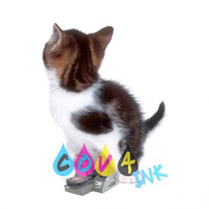 cat_PNG109