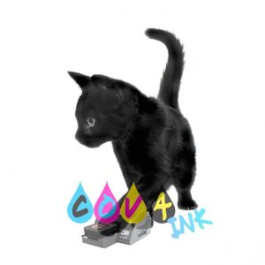 cat_PNG114