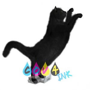 cat_PNG1620