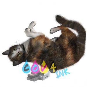 cat_PNG1630