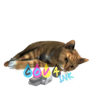 cat_PNG1632