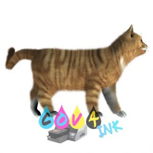cat_PNG1633