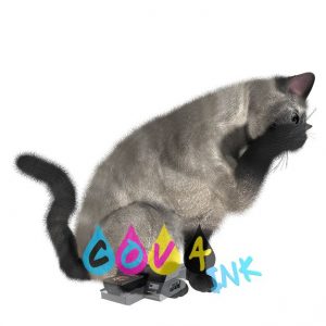cat_PNG1634