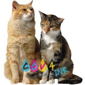 cat_PNG50416