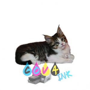 cat_PNG50420