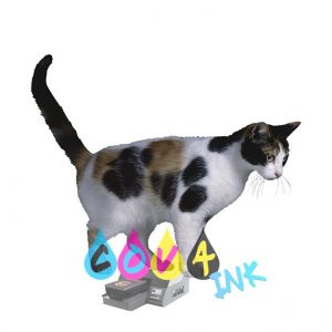 cat_PNG50423
