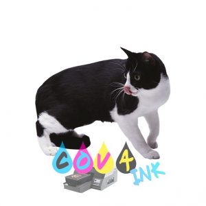 cat_PNG50431