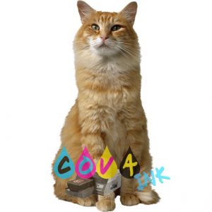 cat_PNG50434