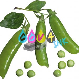 vegetal 65