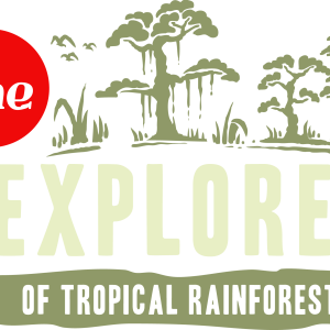 Rainforest Explorer